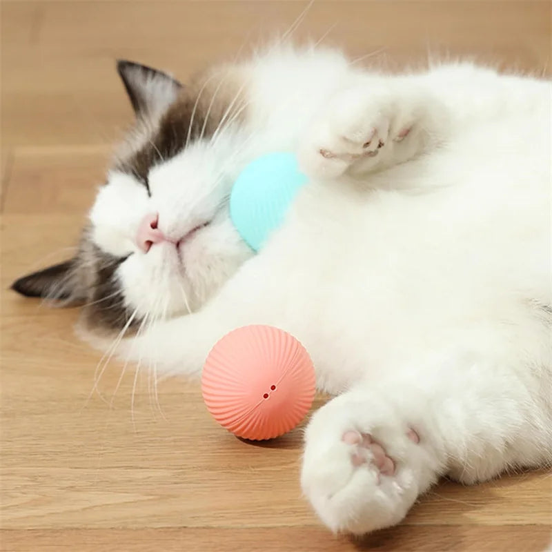 PetDroid Interactive Ball