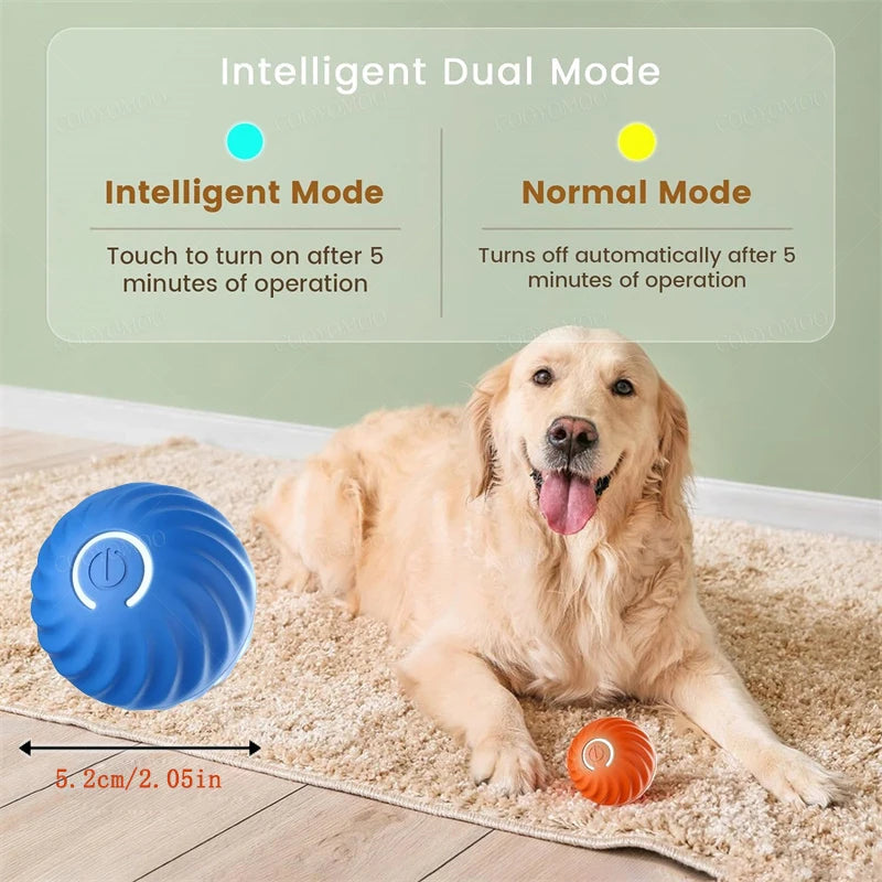 PetDroid Interactive Ball