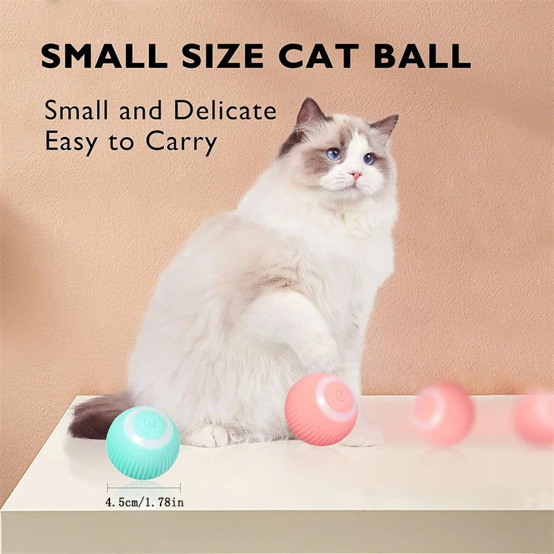 PetDroid Interactive Ball