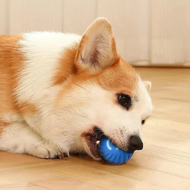 PetDroid Interactive Ball