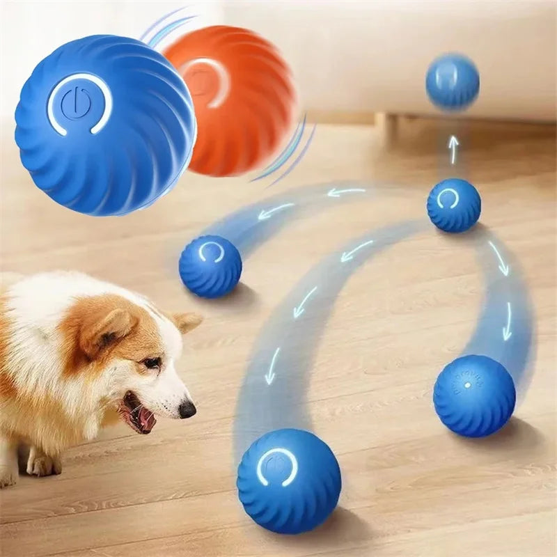 PetDroid Interactive Ball