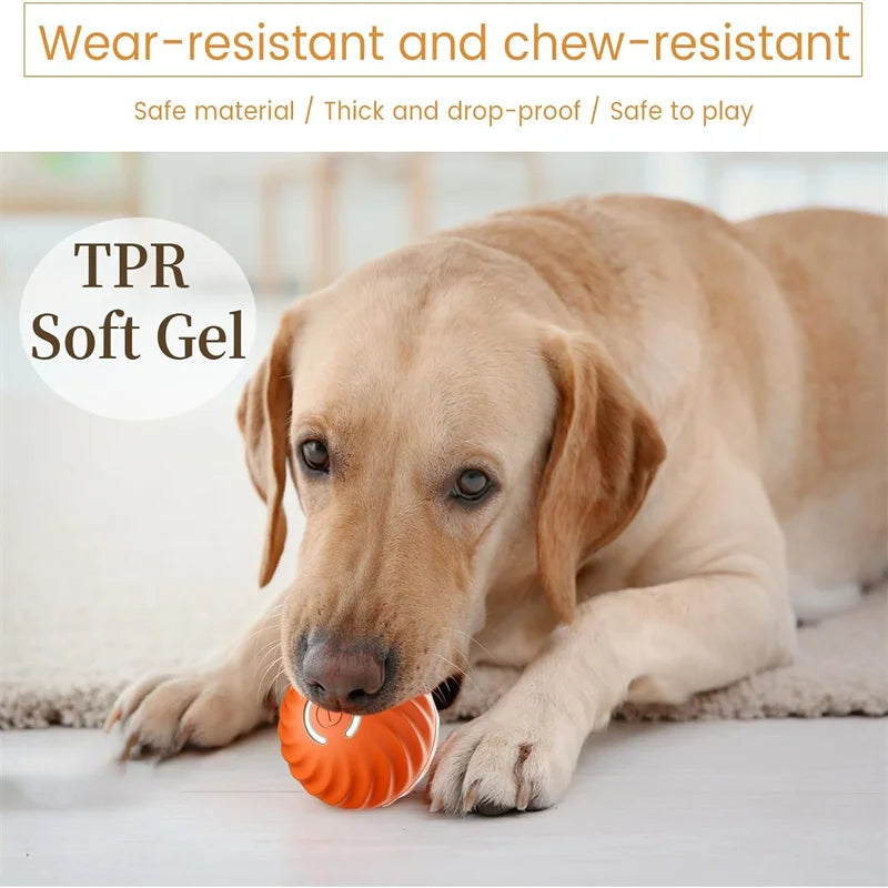 PetDroid Interactive Ball