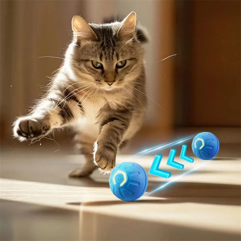 PetDroid Interactive Ball