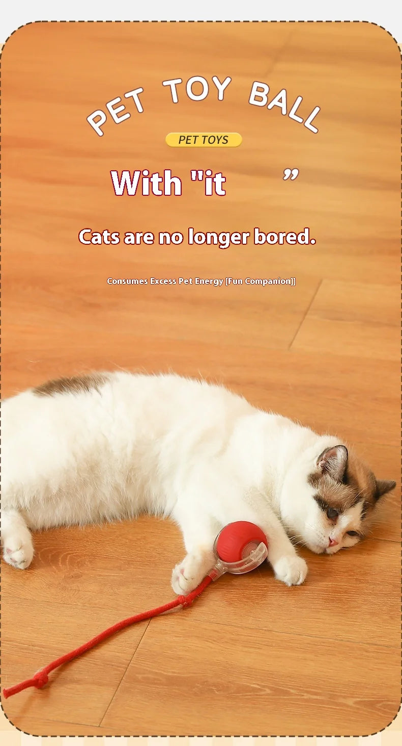 Smart Tail Ball