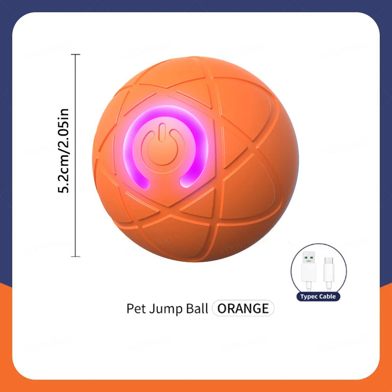 PetDroid Interactive Ball