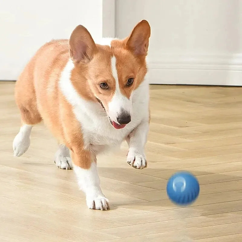 PetDroid Interactive Ball