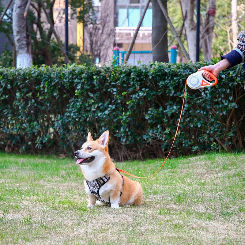 Retractable Dog Leash with flashlight