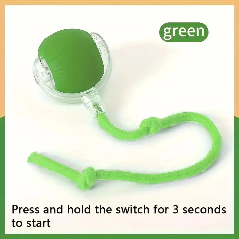PetDroid Interactive Ball