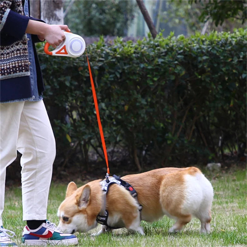 Retractable Dog Leash with flashlight