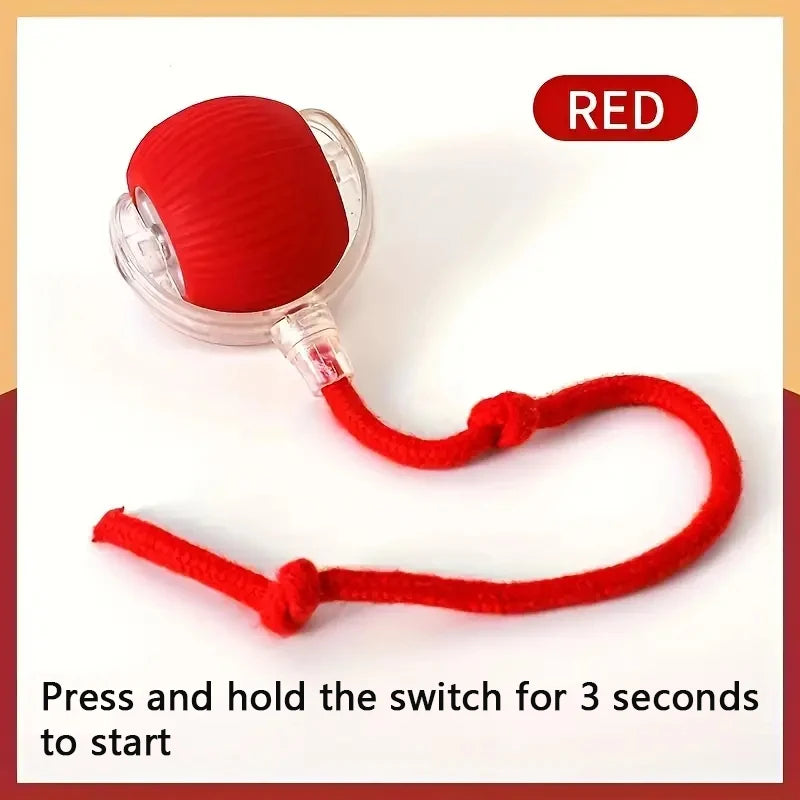 PetDroid Interactive Ball