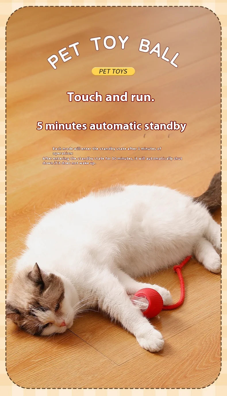 Smart Tail Ball