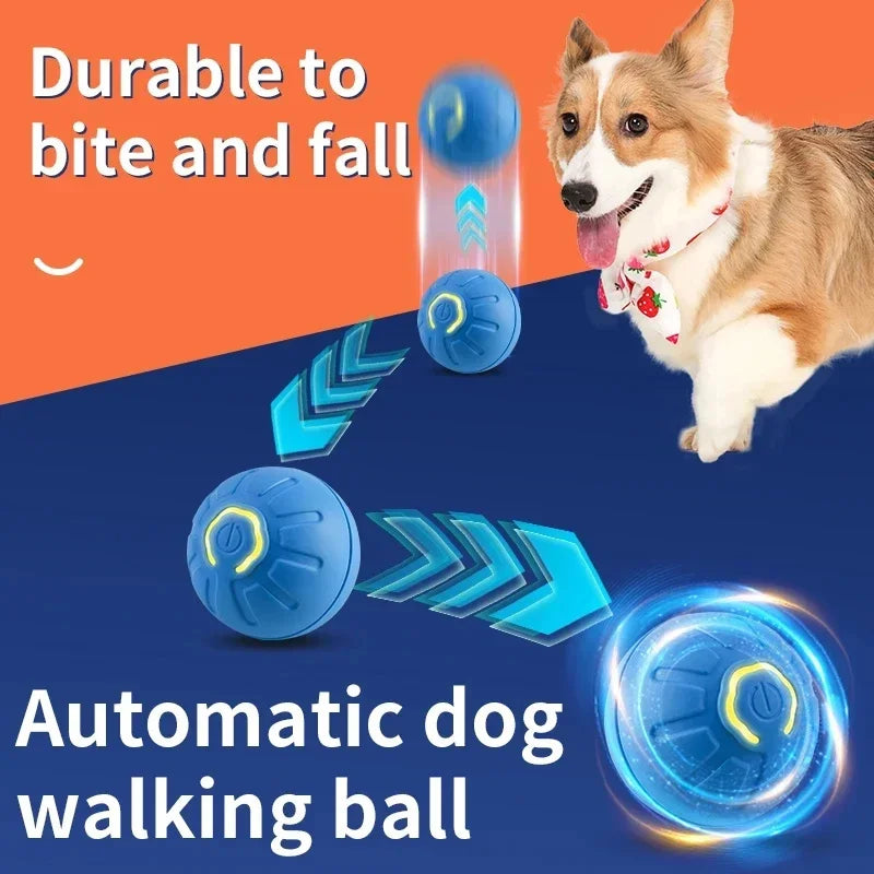 PetDroid Interactive Ball
