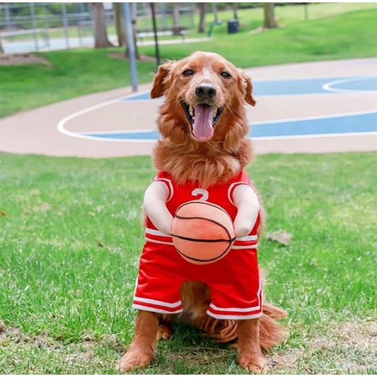 HoopHound – Basketball Player Dog Costume