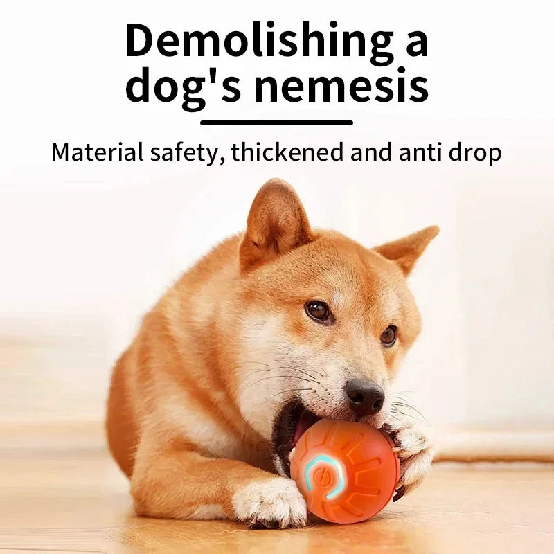 PetDroid Interactive Ball