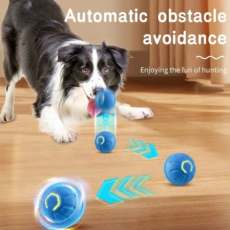 PetDroid Interactive Ball