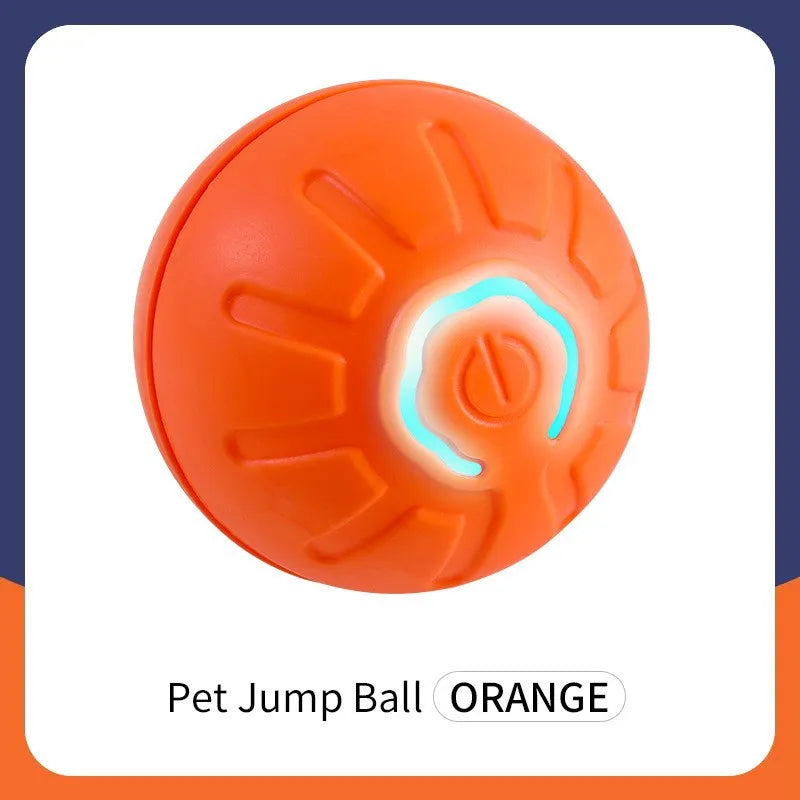 PetDroid Interactive Ball