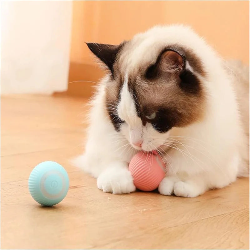 PetDroid Interactive Ball
