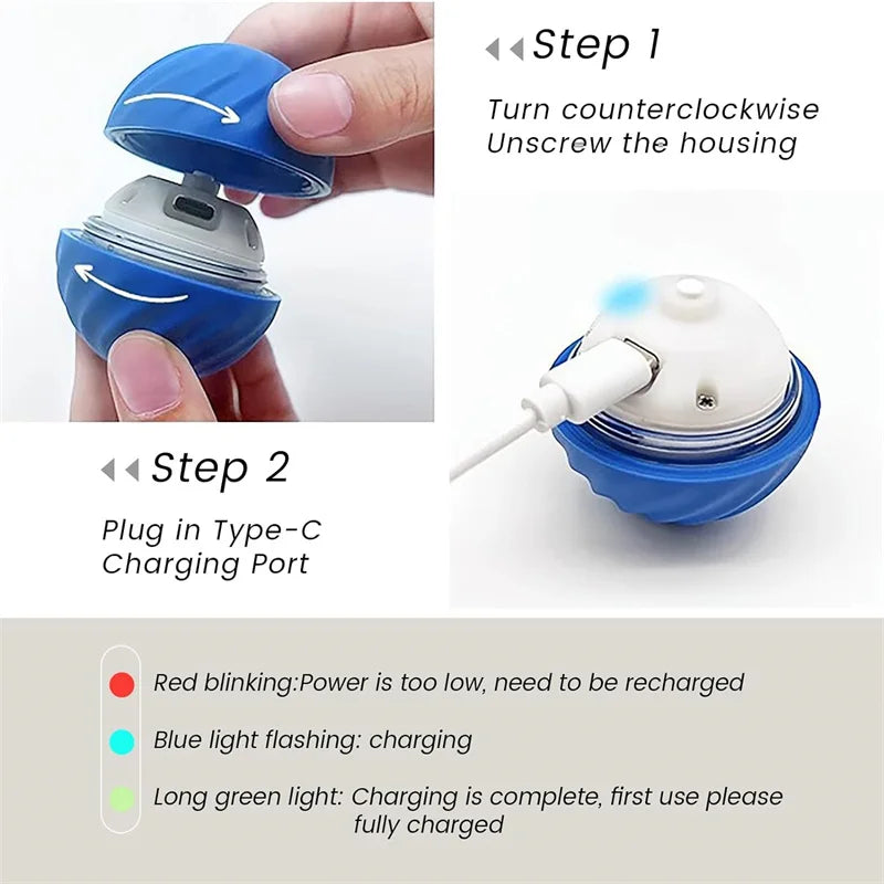 PetDroid Interactive Ball