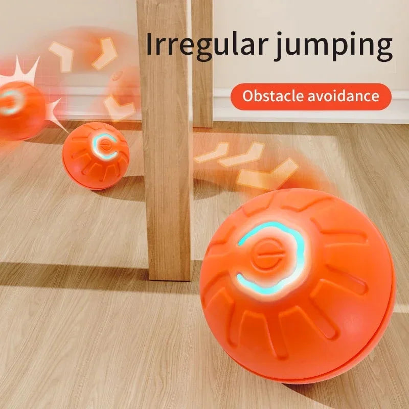 PetDroid Interactive Ball