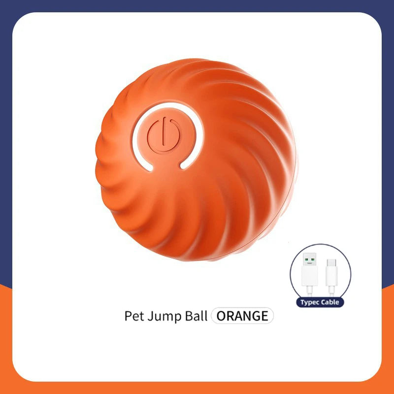 PetDroid Interactive Ball