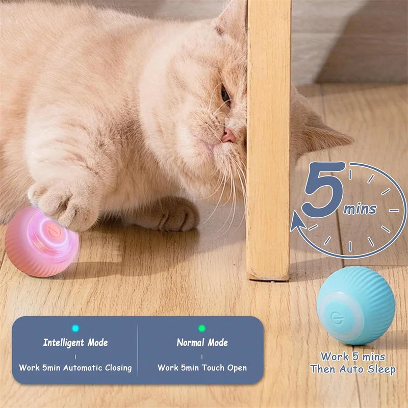 PetDroid Interactive Ball