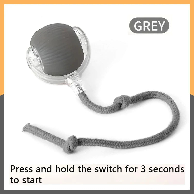 PetDroid Interactive Ball