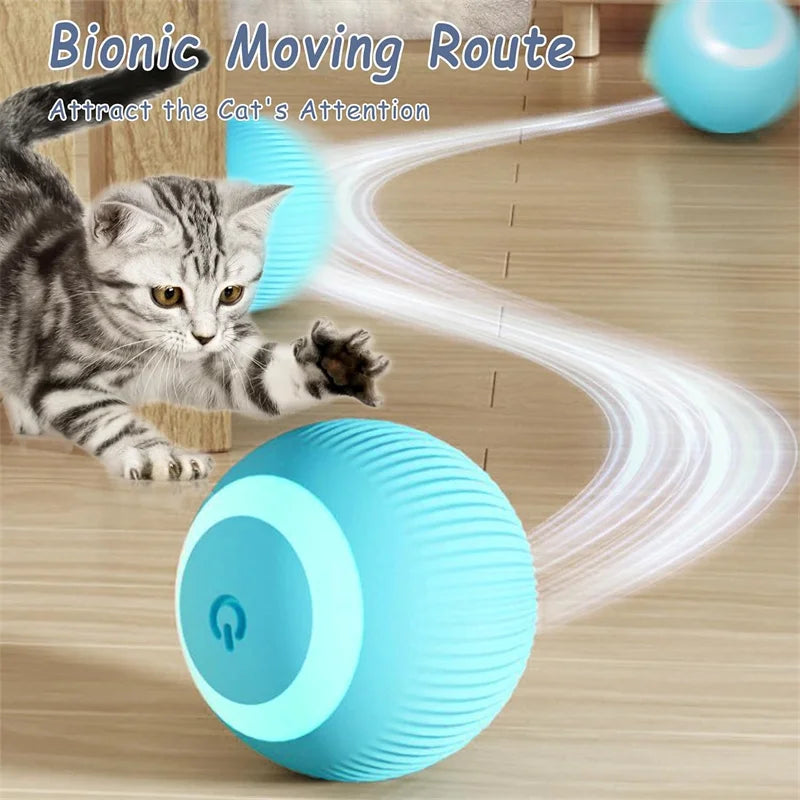 PetDroid Interactive Ball