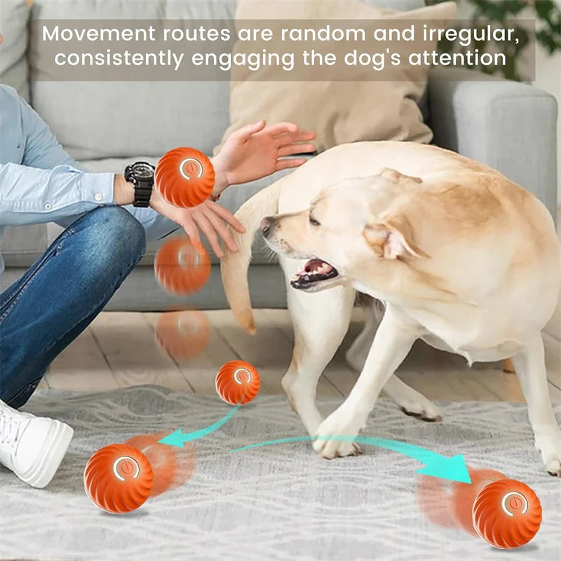 PetDroid Interactive Ball