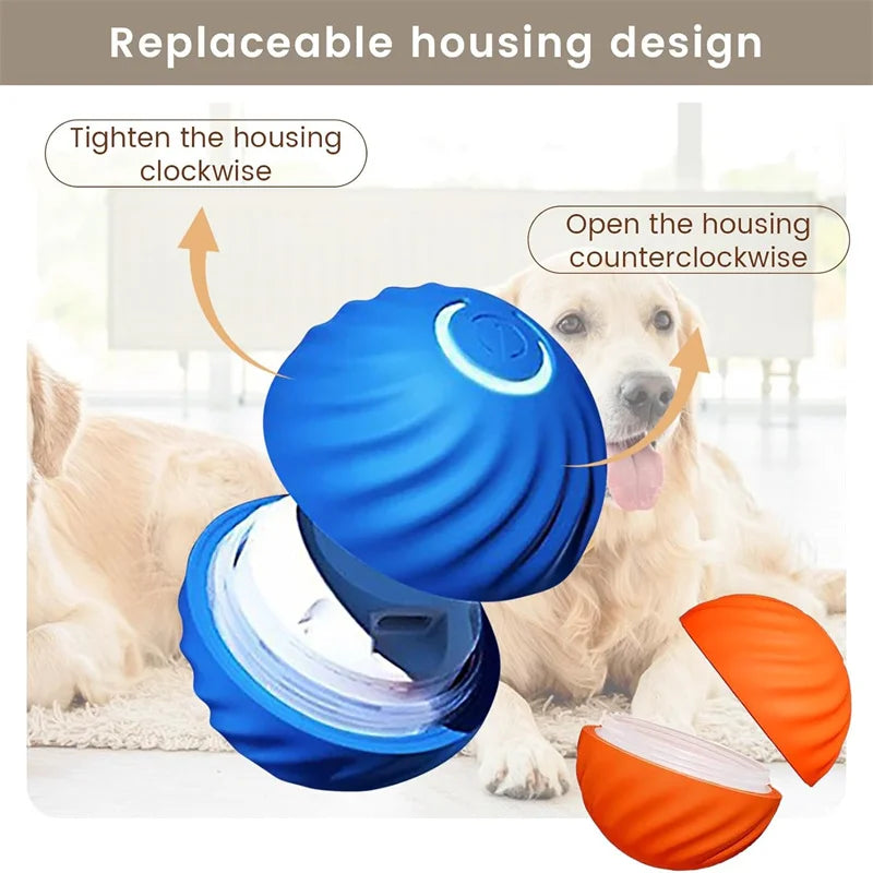 PetDroid Interactive Ball