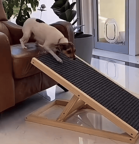 PlayPaw Ramp